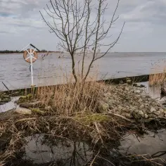 Surowe piękno ujścia Wisły. Sucha trawa, nagie drzewa i kamieniste nabrzeże tworzą melancholijny krajobraz.