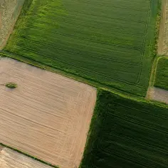 Widok z lotu ptaka na pola uprawne. Czy gmina może sprzedać działkę bez przetargu? Pytanie to nasuwa się, patrząc na te geometryczne kształty pól.