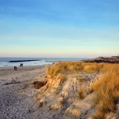 Spacerem po plaży, gdzie wydmy porośnięte trawą sięgają horyzontu. Czy morze bałtyckie jest częścią oceanu atlantyckiego? To pytanie zadają sobie spacerowicze.