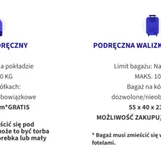 Wizz Air: jakie wymiary bagażu podręcznego? Mały plecak 40x30x20 cm mieści się pod fotelem. Walizka 55x40x23 cm wymaga dopłaty Wizz Priority.