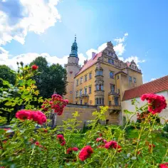 Zamek książęcy w Oleśnicy – historia, zwiedzanie i praktyczne informacje dla turystów