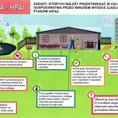 Ilustracja przedstawia zasady ochrony gospodarstwa przed ptasią grypą (HPAI). Wskazówki obejmują m.in. dezynfekcję, zabezpieczenie budynków i obserwację ptaków.