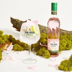 Najlepsze przepisy na koktajle z Finlandia Redberry, które musisz spróbować