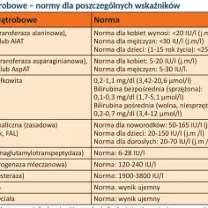 Tabela z normami badań wątrobowych: ALT, AST, bilirubina, GGTP, LDH, ChE. To ważny alat badanie.