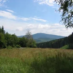 Widok na najwyższy szczyt Węgier, Górę Kékestető, z łąką pełną traw i lasem w tle.
