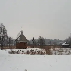 Czy Polana Białowieska zachwyca zimą bardziej niż latem? Porady