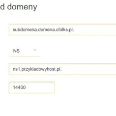 Jak zmienić DNS domeny - krok po kroku, uniknij problemów z witryną