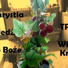 Duchowe przesłanie przypowieści o krzewie winnym w życiu chrześcijan