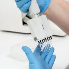Ile trwa badanie DNA zwłok? Poznaj czynniki wpływające na czas analizy