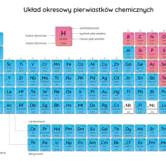 Układ okresowy pierwiastków chemicznych z podziałem na metale, niemetale i gazy szlachetne.