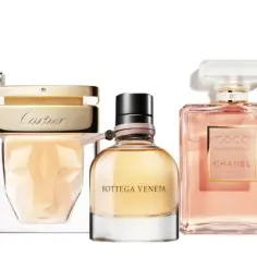 Perfumy szyprowe co to? Odkryj ich tajemnice i unikalne cechy