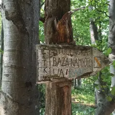 Gdzie w Polsce dziczej niż w Bieszczadach? Oto najdziksze miejsca!
