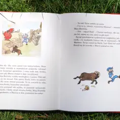 Shirley z Powieści - Jaką postać literacką przedstawia?