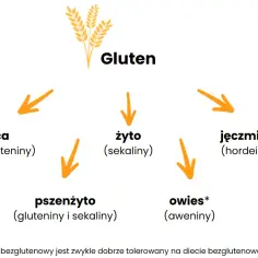 Jak powstaje gluten? Odkryj sekrety jego tworzenia i jakości