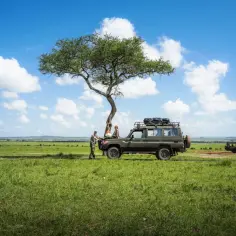 Podczas safari w Kenii, pod akacjami, turyści w samochodzie terenowym czują się bezpiecznie.