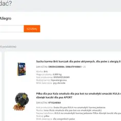 Jak wystawić przedmiot na Allegro w aplikacji bez zbędnych problemów