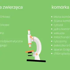 Porównanie budowy komórki zwierzęcej i roślinnej. Mikroskop pomaga odkryć tajemnice komórki.