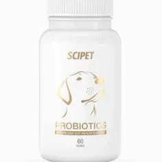 Gdzie kupić probiotyk dla psa? Odkryj najlepsze opcje i porady