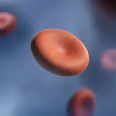 Czerwone krwinki unoszą się w płynnym środowisku. Wewnątrz erytrocytów zachodzą procesy, w tym transport magnezu, kluczowego dla ich funkcji.