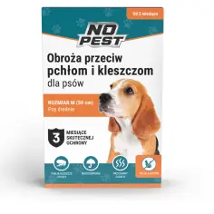Pies pływa z obrożą? Sprawdź, czy ochrona przed kleszczami działa!