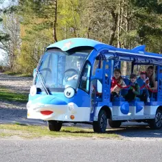Jak dojechać do Jarosławca nad morzem - najwygodniejsze opcje transportu