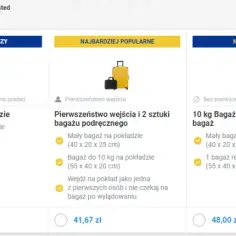 Ryanair jaki bagaż w cenie biletu? Sprawdź, co możesz zabrać