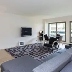 Nowoczesny salon z widokiem na zieleń. Jak wycenić mieszkanie na sprzedaż? Eleganckie meble, dywan i telewizor tworzą przytulną przestrzeń.