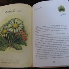 Ilustracja przedstawia stokrotki i inne kwiaty, jakby wyjęte z tajemniczego ogrodu. Obok tekst opowiadający o poranku w ogrodzie.