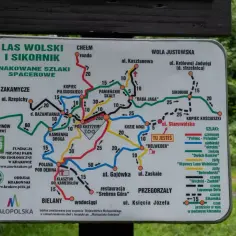 Najlepsze trasy rowerowe w Lesie Wolskim – odkryj swoje ulubione szlaki
