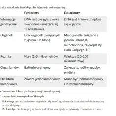 Tabela porównująca komórki prokariotyczne i eukariotyczne: DNA, organelle, rozmiar, organizmy, struktura komórkowa.
