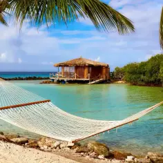 Huśtawka na plaży, idealna na aruba wakacje. W tle drewniana chata na wodzie i bujna zieleń.