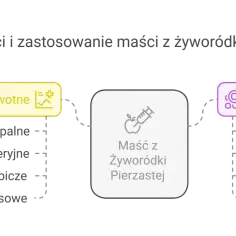 Maść z żyworódki pierzastej ma działania prozdrowotne: przeciwzapalne, przeciwbakteryjne, przeciwgrzybicze, przeciwwirusowe. Zastosowania: gojenie ran, trądzik, przebarwienia, zmęczone stopy.