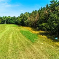 Łąka i las, idealne miejsce na sprzedaż ziemi rolnej krok po kroku.