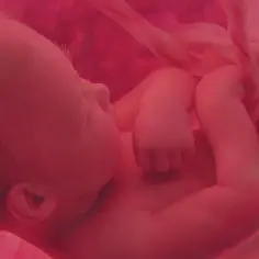 Dziecko w łonie matki, otoczone pępowiną. Czas na modlitwę za dziecko nienarodzone, o jego zdrowie i przyszłość.