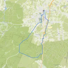 Mapa z zaznaczoną trasą wokół Jastrzębiej Góry, prowadzącą przez lasy i pola, z widocznymi miejscowościami jak Szydłówek i Wola Korzeniowa.