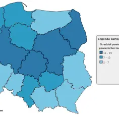 GUS statystyki: kluczowe dane, które musisz znać o Polsce
