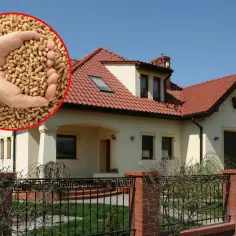 Dłonie trzymające pellet na tle domu z czerwonym dachem.
