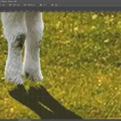 Jak zrobić cienie w Photoshopie, by uzyskać realistyczny efekt
