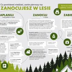 Co spakować na kemping? Kluczowe rzeczy, które musisz mieć ze sobą