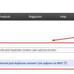 Jak sprawdzić duplicate content i uniknąć problemów z SEO