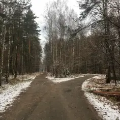 Puszcza Dulowska trasy rowerowe - odkryj najlepsze szlaki i atrakcje