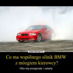 Dlaczego kierowcy BMW czują się lepsi? Odkryj tajemnice ich psychiki
