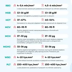 Podstawowe badania krwi: RBC, HGB, HCT, MCV, MCH, MCHC, WBC, PLT z normami.