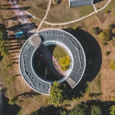 Jakie zwierzęta kryje Park Narodowy Ujście Warty? To dzika natura!