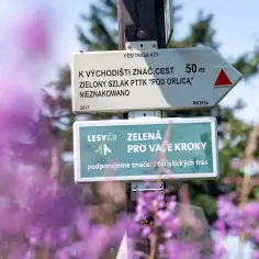 Najlepsze atrakcje w górach orlickich, które musisz zobaczyć