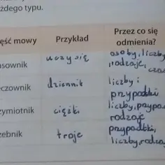Goście w programie TV: Fascynujące występy i wywiady na żywo