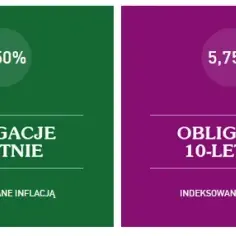 Obligacje COI czy EDO - co wybrać, aby zminimalizować ryzyko?