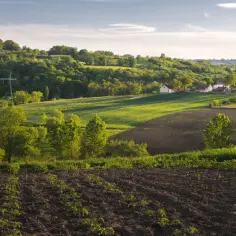 Działka rolno-budowlana co to znaczy? Kluczowe cechy i zasady zakupu