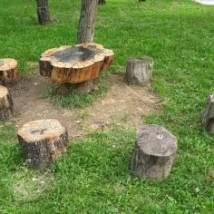 Jak ozdobić pień drzewa w ogrodzie i nadać mu wyjątkowy charakter