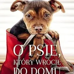 O psie który wrócił do domu – recenzje, streszczenie i gdzie kupić książkę